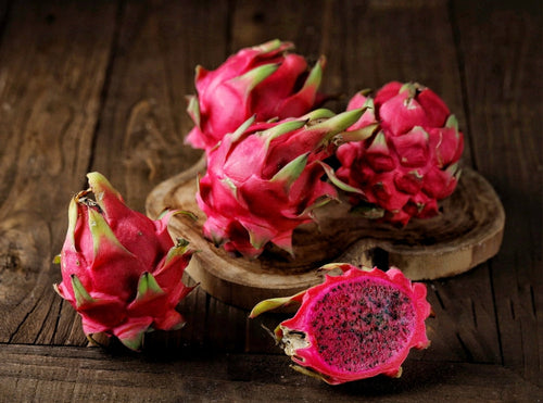 植物性エクソソームが拓く新しい美とウェルネスの科学