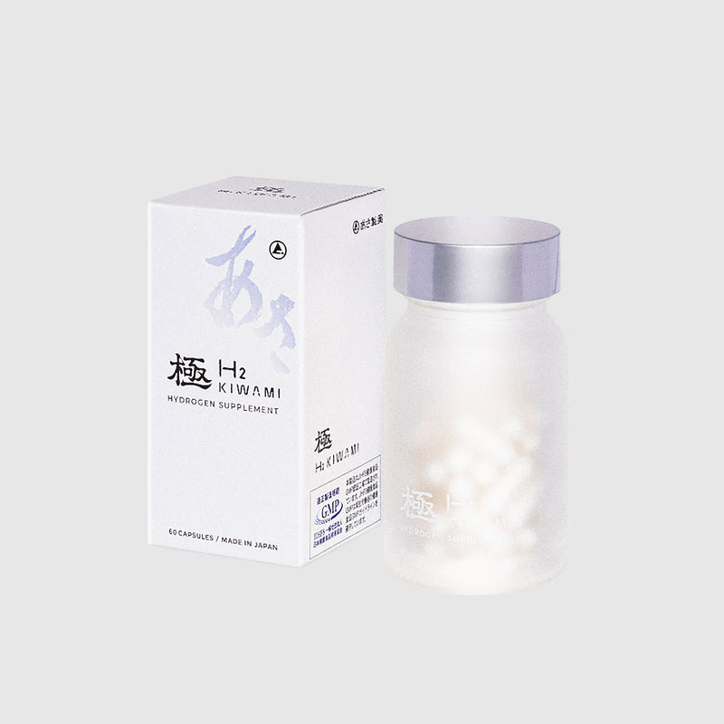 H2極（H2 KIWAMI）