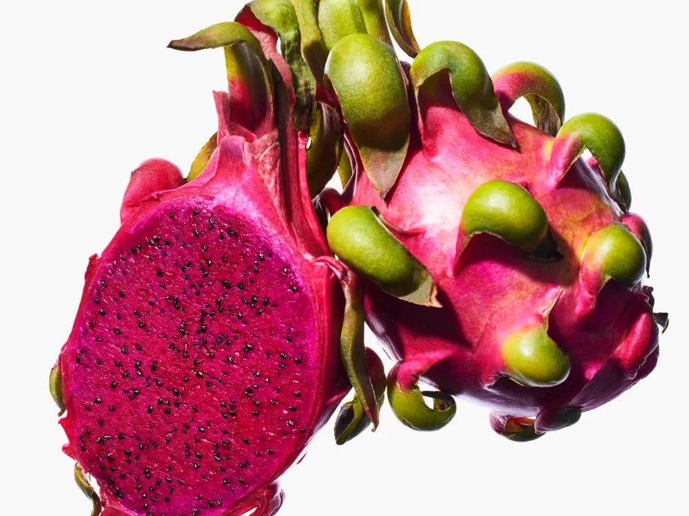 VAMOR. Moisten Exosome